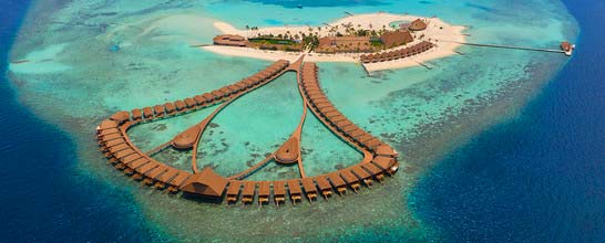 Cinnamon Velifushi