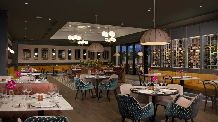 Dreams Macao Beach Punta Cana