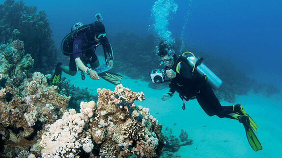 Mövenpick Resort Sharm El Sheikh