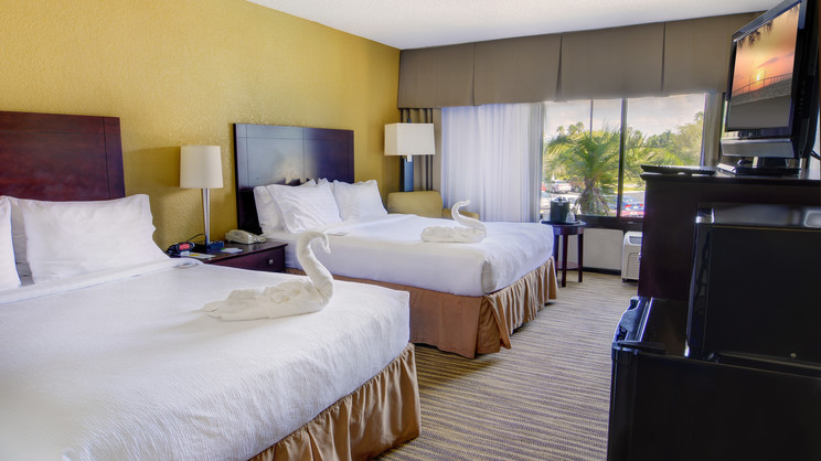 Holiday Inn St Petersburg North - Clearwater