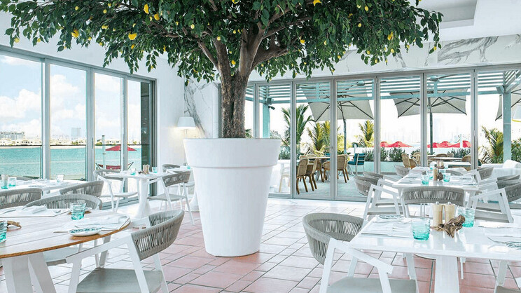 Th8 Palm Dubai Beach Resort