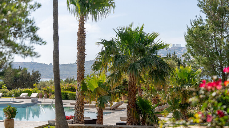 Cape Sounio A Grecotel Resort To Live