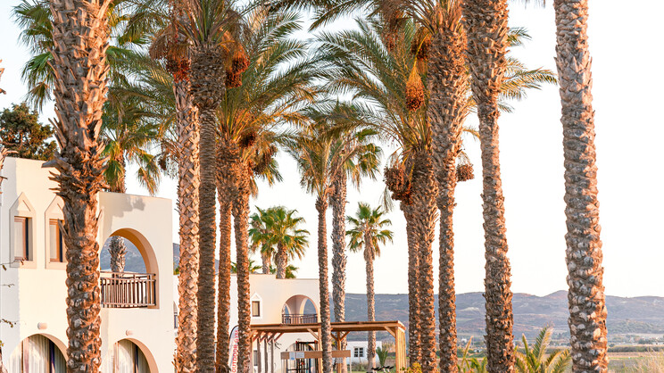 Grecotel Casa Paradiso