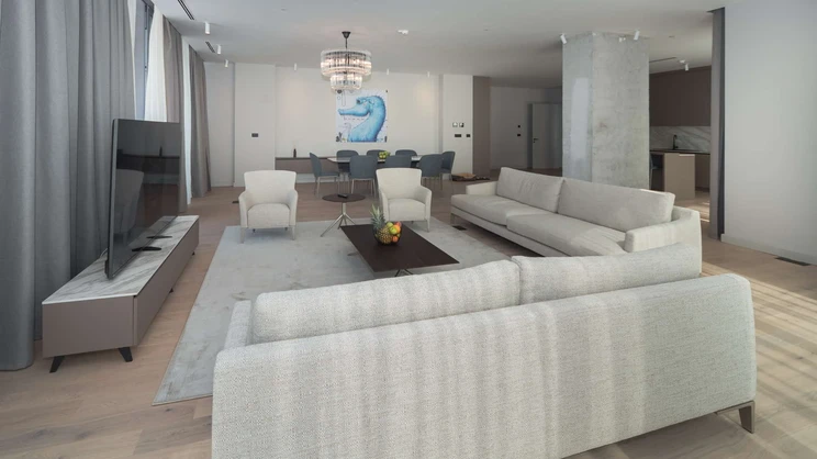 Penthouse Apartment