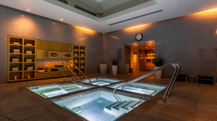 Aria Resort and Casino