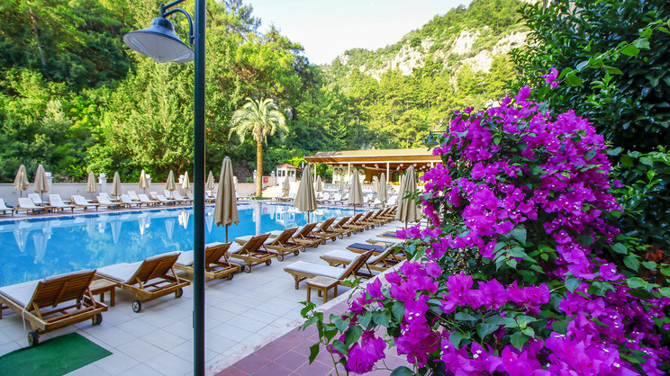 Julian Forest Suites