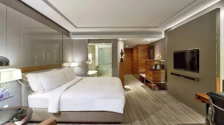 King Deluxe Premium Room 