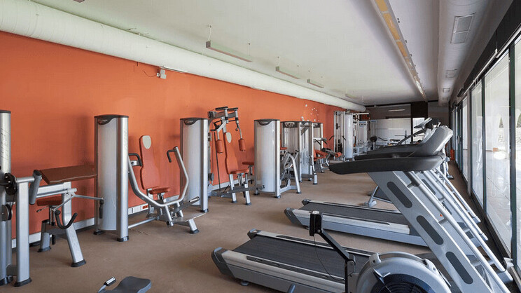 Alua Illa de Menorca