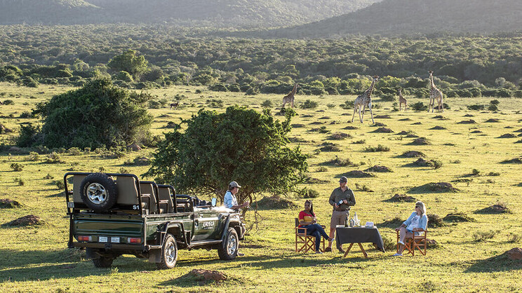 Kariega Game Reserve Settlers Drift