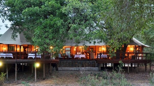 Hamiltons Tented Camp