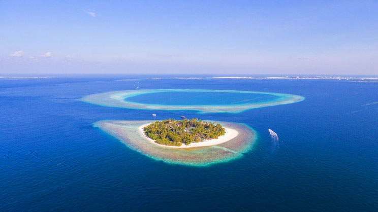 Malahini Kuda Bandos