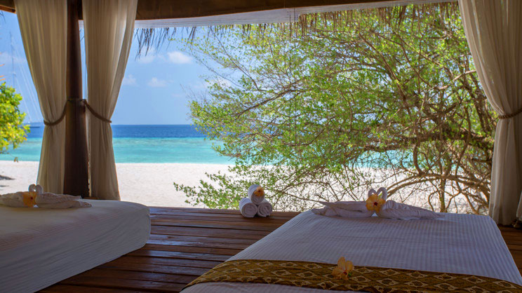 Malahini Kuda Bandos