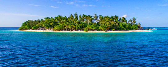 Malahini Kuda Bandos