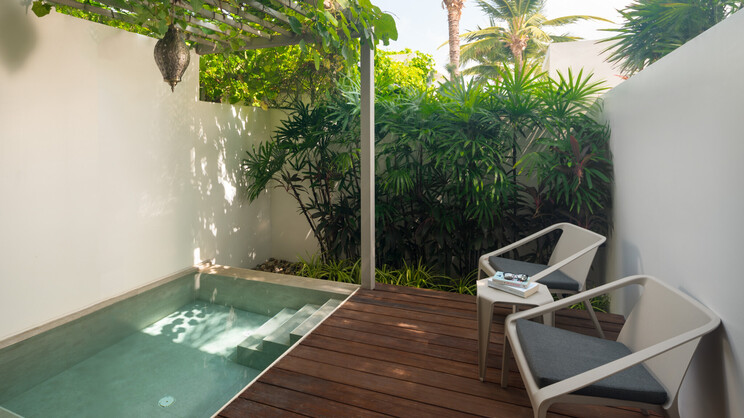 Deluxe Plunge Pool Room 