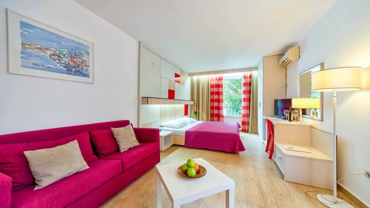 Studio Apartment