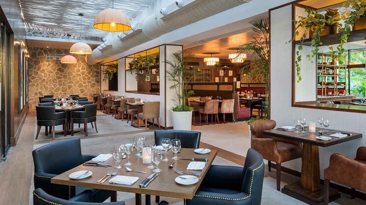 Ocean Riviera Paradise