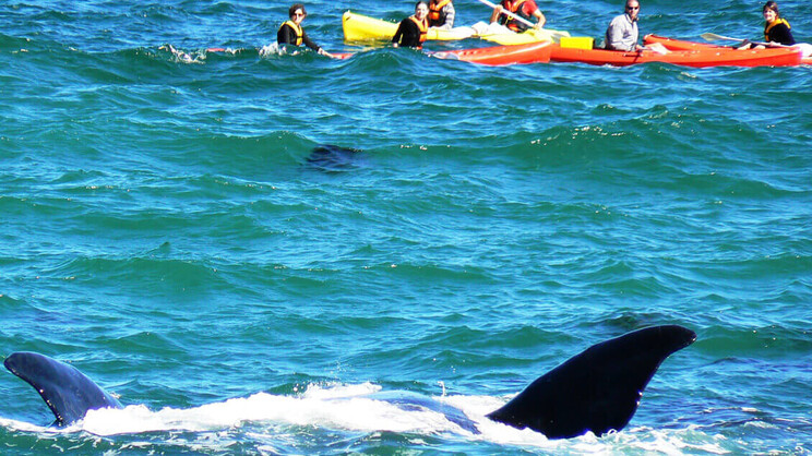 Misty Waves Boutique Hotel