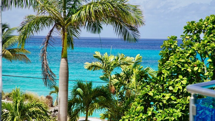 The Abidah by Accra Barbados