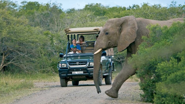 Perry’s Bridge Hollow  