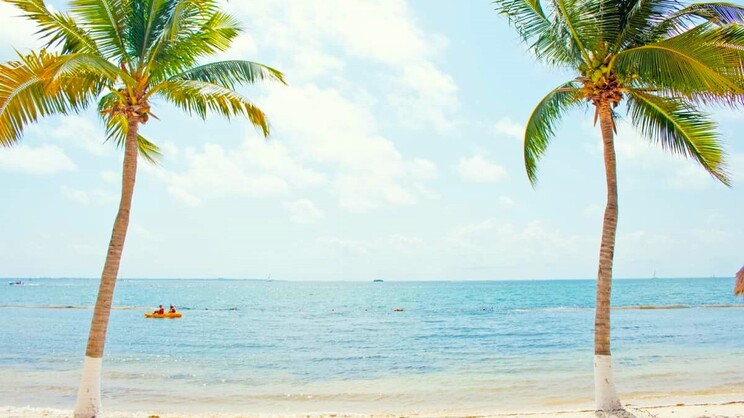 All Ritmo Cancun Resort and Waterpark