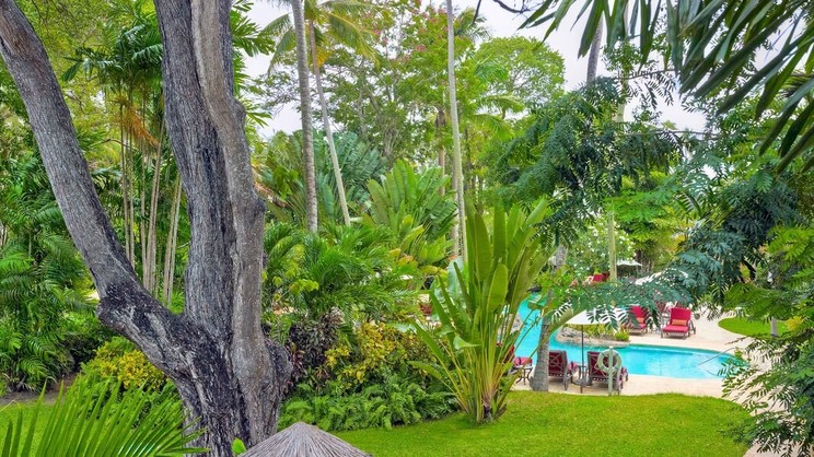 Pool Garden View Junior Suites