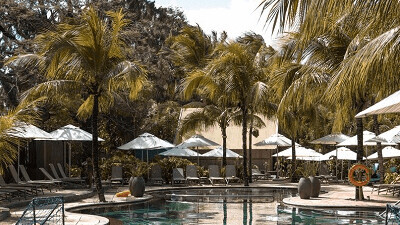 Coin de Mire Attitude 