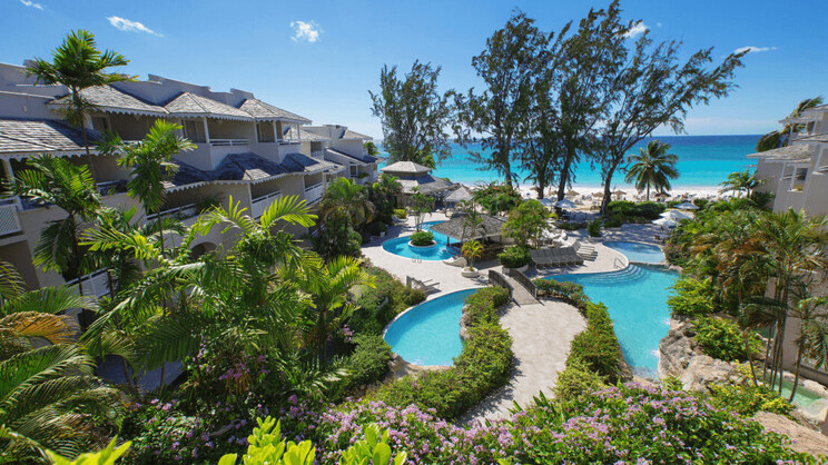 Bougainvillea Barbados