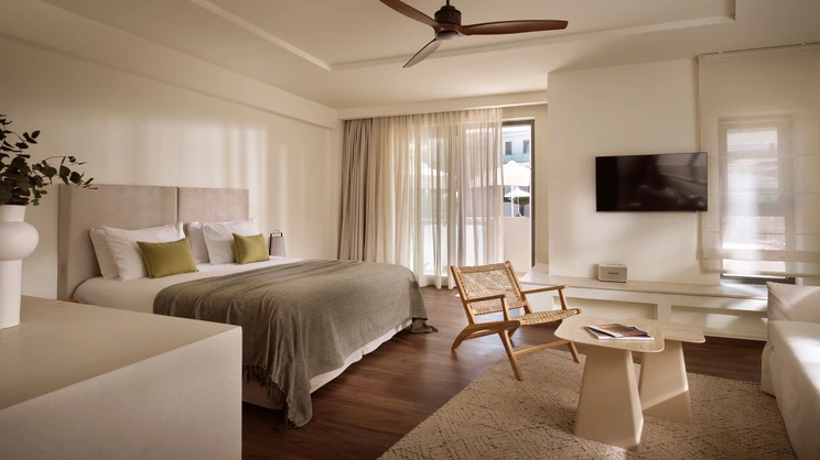 Premium Executive Room 