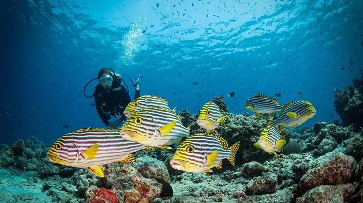 Conrad Maldives Rangali Island