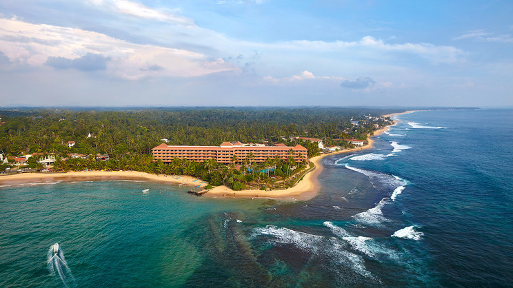 Hikka Tranz by Cinnamon