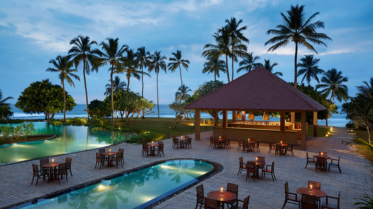 Hikka Tranz by Cinnamon