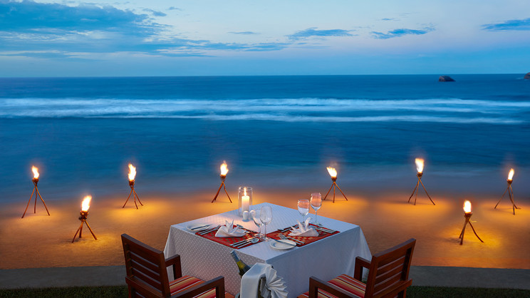 Hikka Tranz by Cinnamon