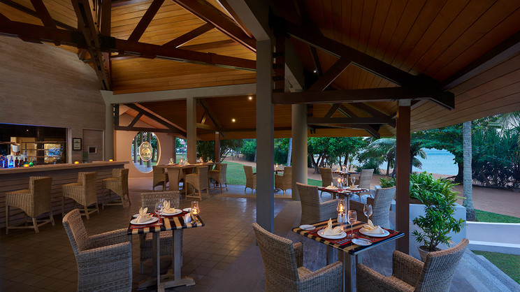 Hikka Tranz by Cinnamon