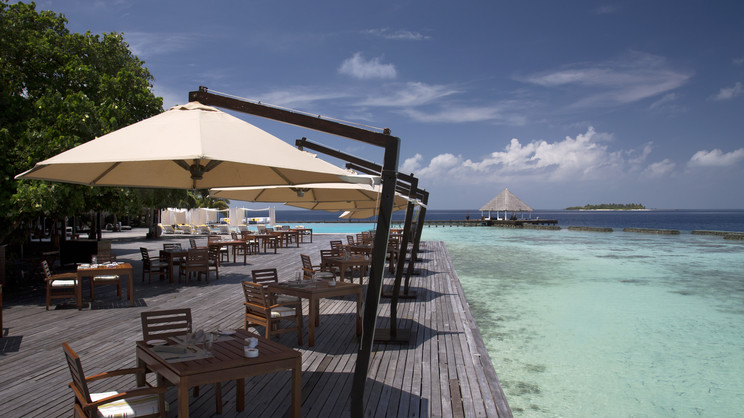 Coco Bodu Hithi