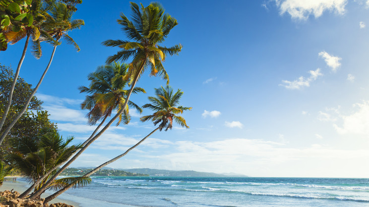 Magdalena Grand Beach and Golf Resort