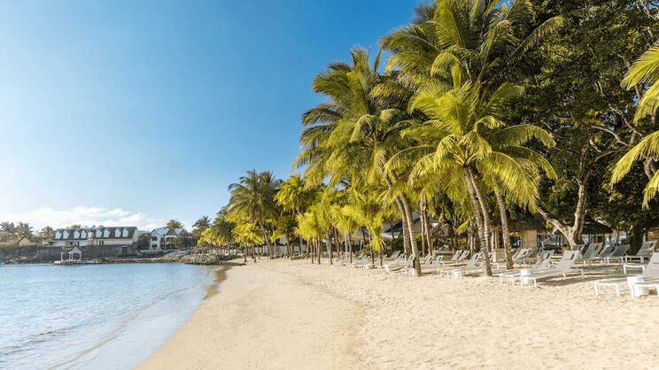 The Ravenala Attitude