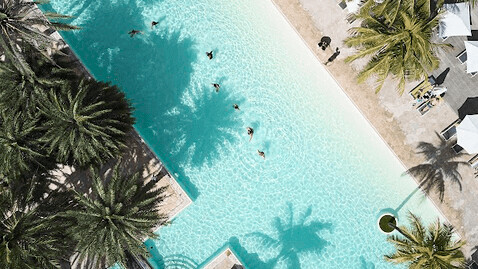 The Ravenala Attitude