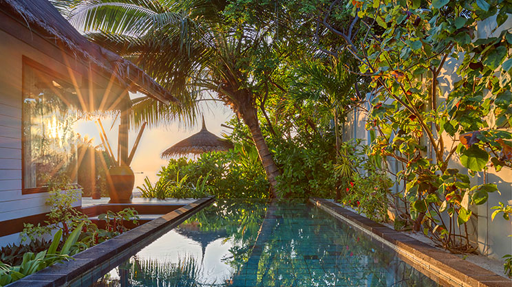 Earth Pool Pavilion - 2 Bedroom Suite