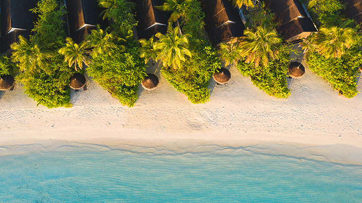 Earth Villa/Earth Villa with Lap Pool