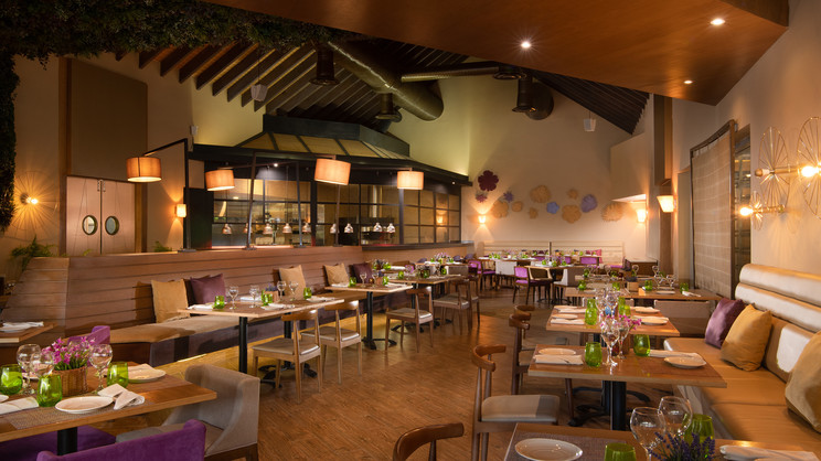 Dreams Onyx Punta Cana