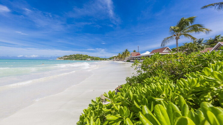 Pineapple Beach Club