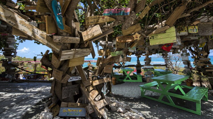 Pineapple Beach Club