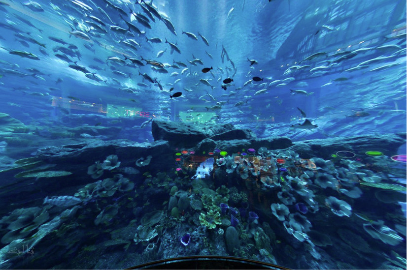 Dubai Holidays with Kids and Todders