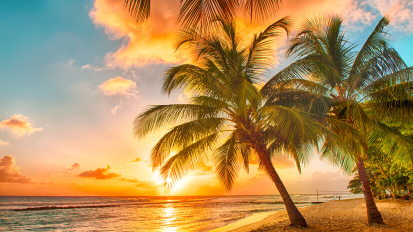 Caribbean 