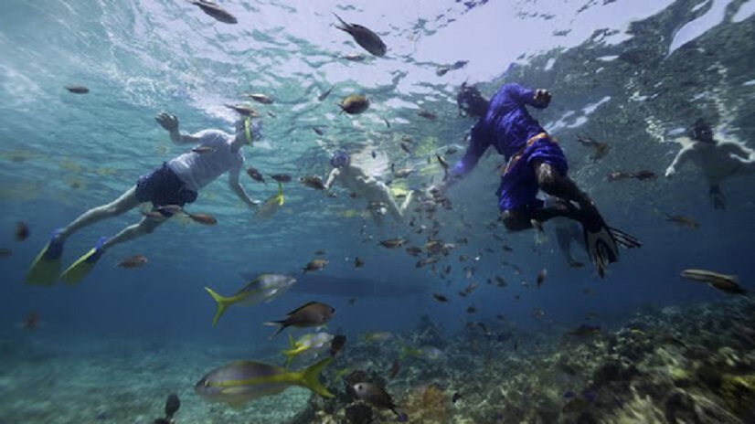 CurtainBluff,Antigua