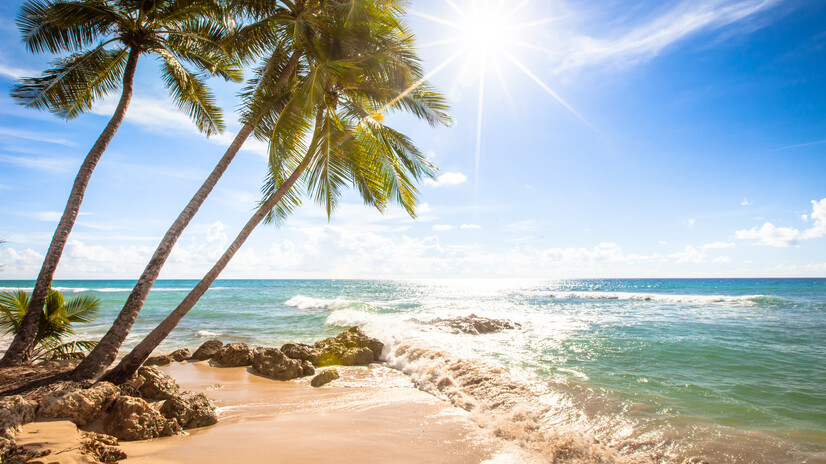 Enjoy the sun on your Barbados holiday