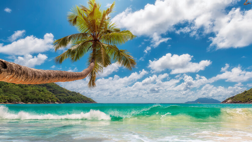 Jamaica