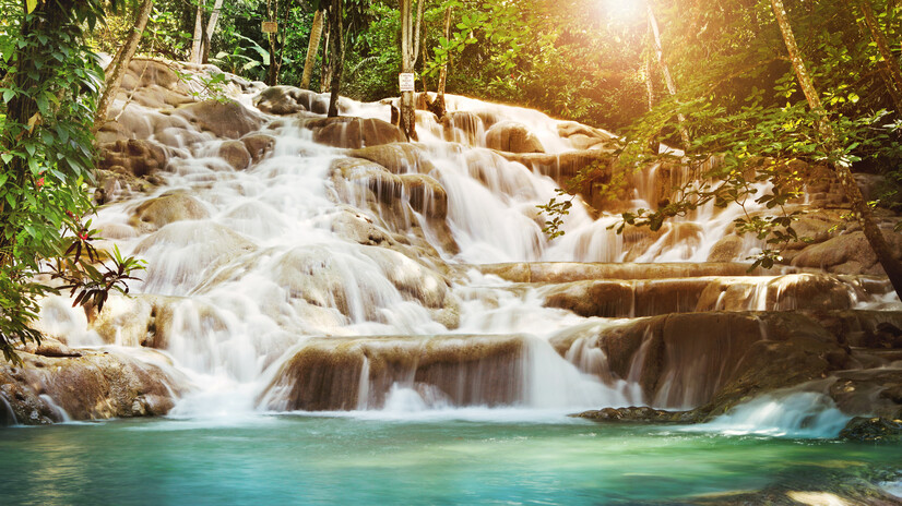 The Caribbean