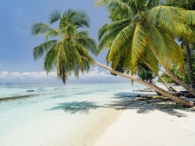 Caribbean Special Offers