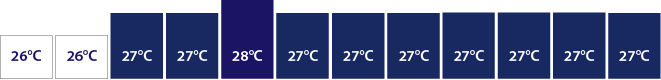 Average temperature for Bali